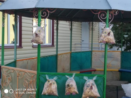Осенние совушки радуют нас Осенние совушки радуют нас.