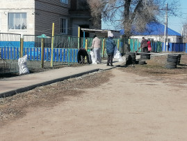 Первый весенний субботник Первый весенний субботник.