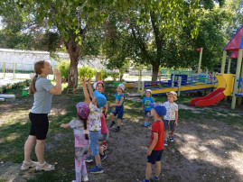 Праздник мыльных пузырей Праздник мыльных пузырей.