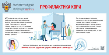 Профилактика кори Профилактика кори.